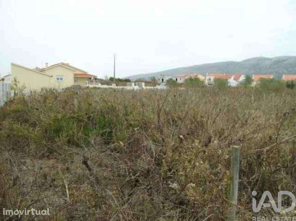 Terreno em Aljubarrota de 1221,00 m2 - Grande imagem: 3/4
