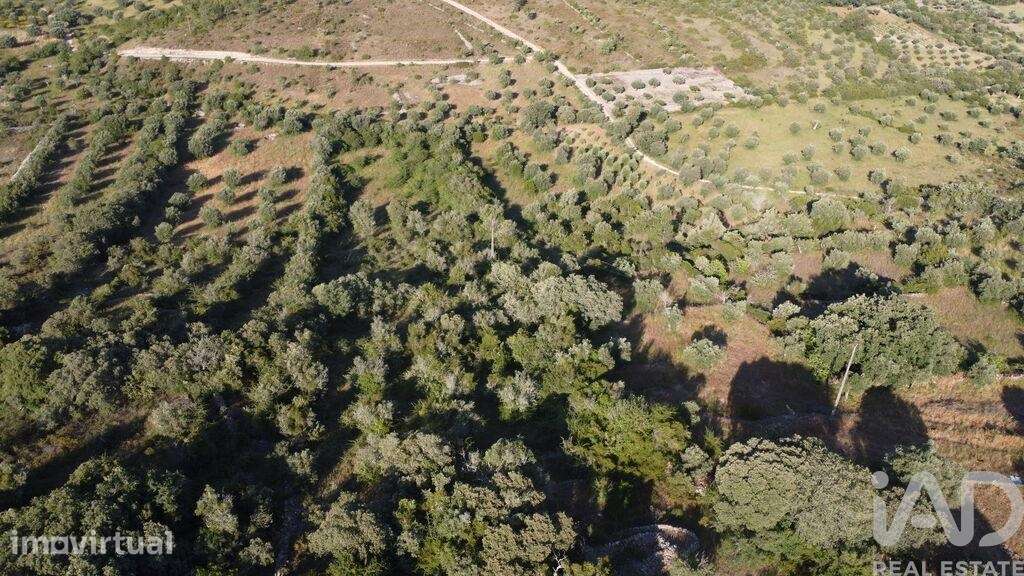 Terreno em Chãos de 4800,00 m2 - Grande imagem: 3/30