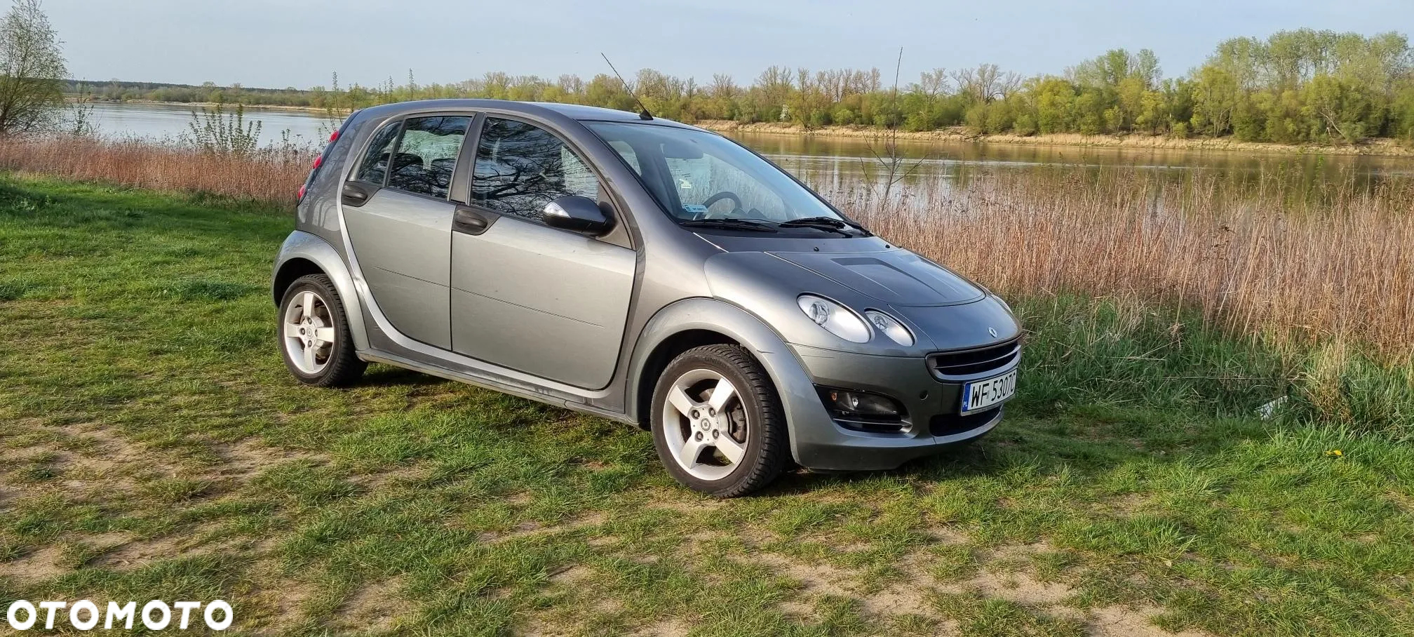 Smart Forfour passion - 10
