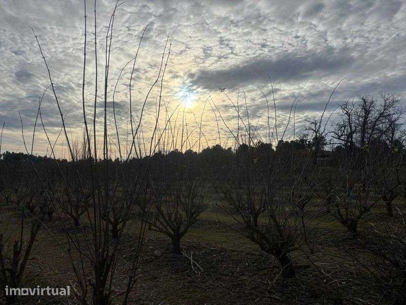 Terreno em Tarouca - Grande imagem: 2/6