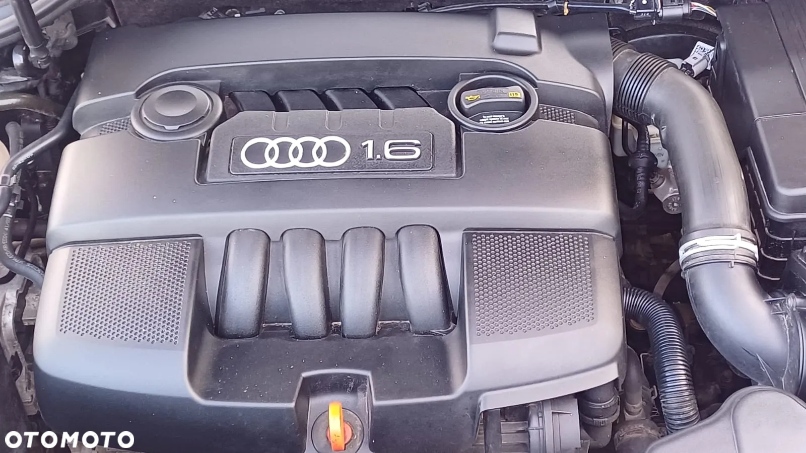 Audi A3 1.6 Attraction - 38