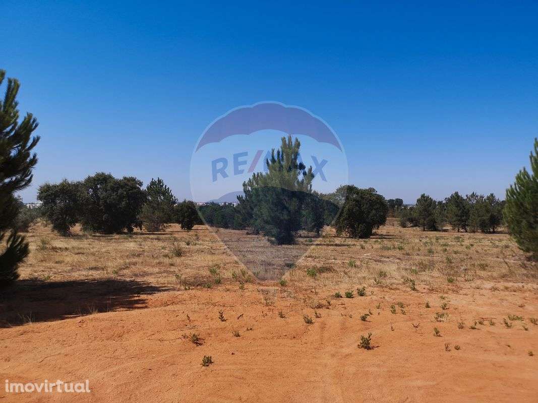 Terreno  para venda - Grande imagem: 3/21