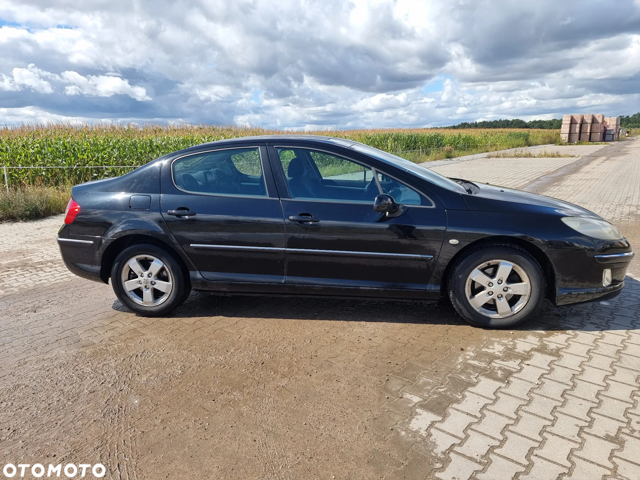 Peugeot 407 2.0 HDI Premium - 3