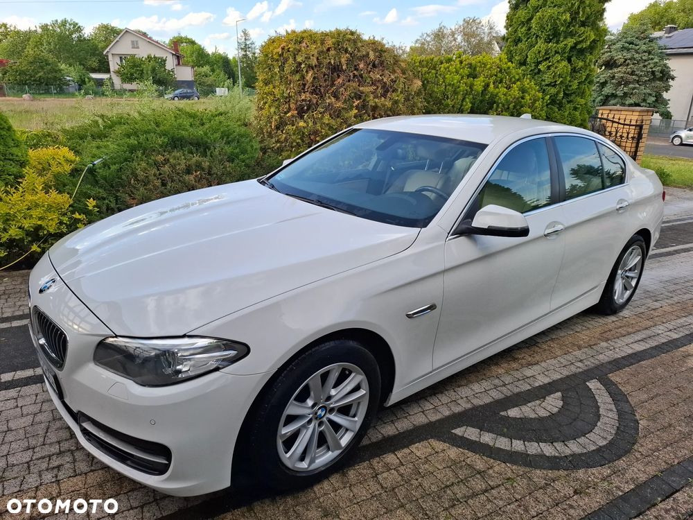 BMW Seria 5 518d Advantage - 24