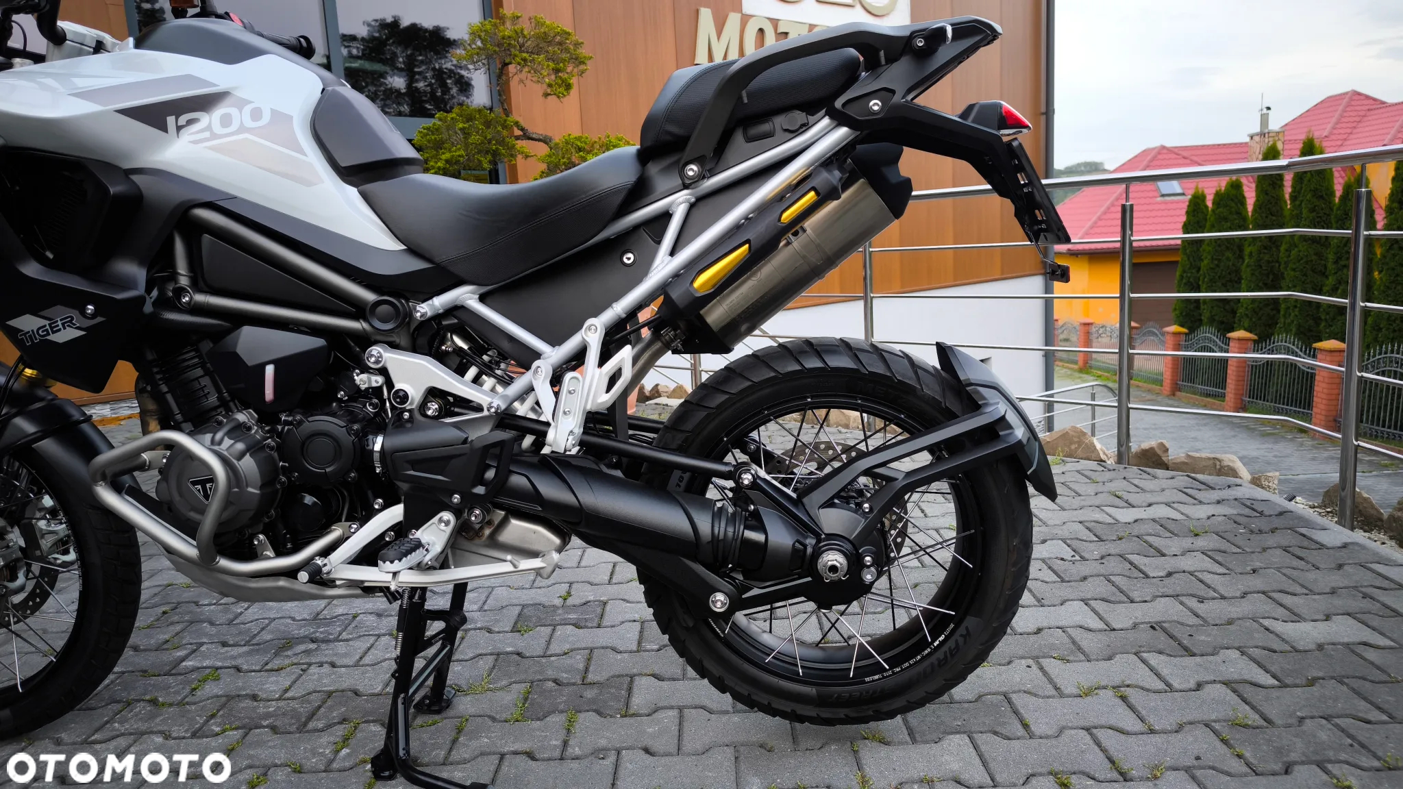 Triumph Tiger - 15