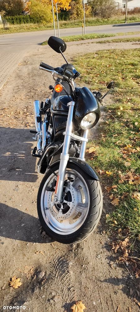 Harley-Davidson V-Rod Night Rod - 9