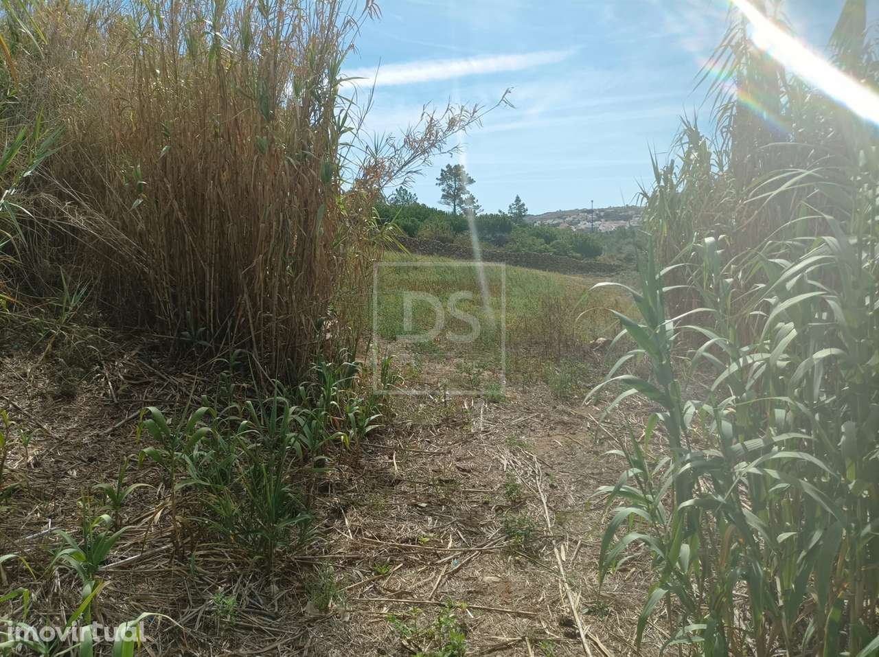 Terreno com 1.562 m² em Casal das Oliveiras | Proximidade à Ericeira e - Grande imagem: 2/8