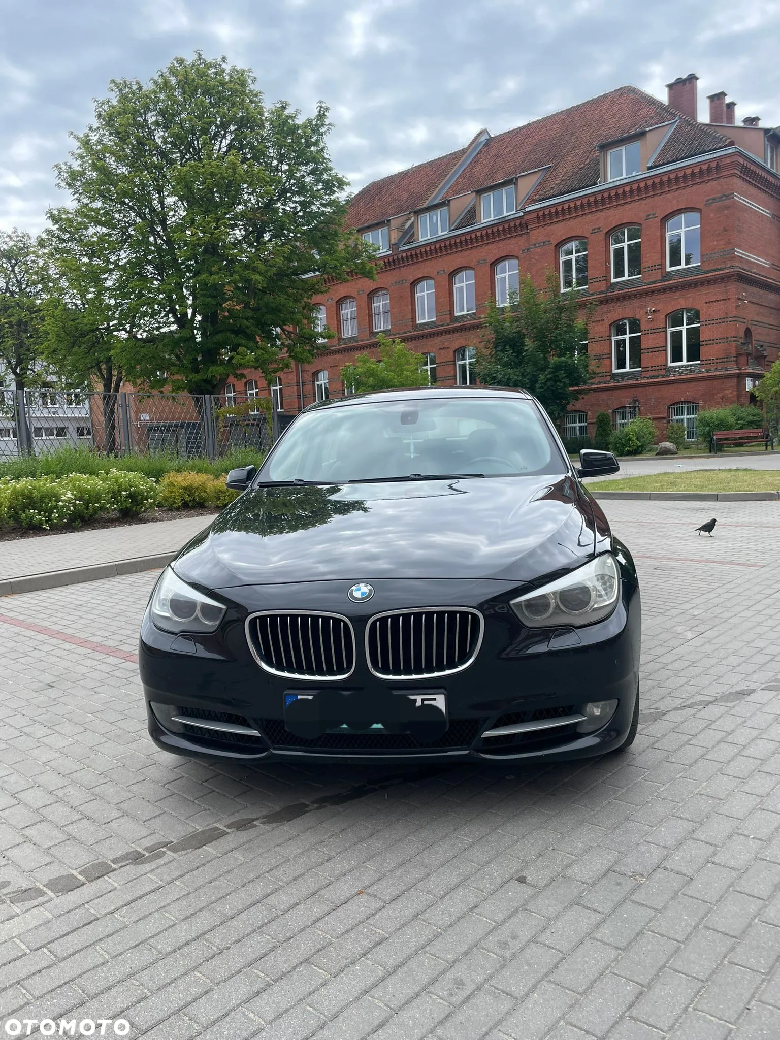BMW Seria 5 - 12