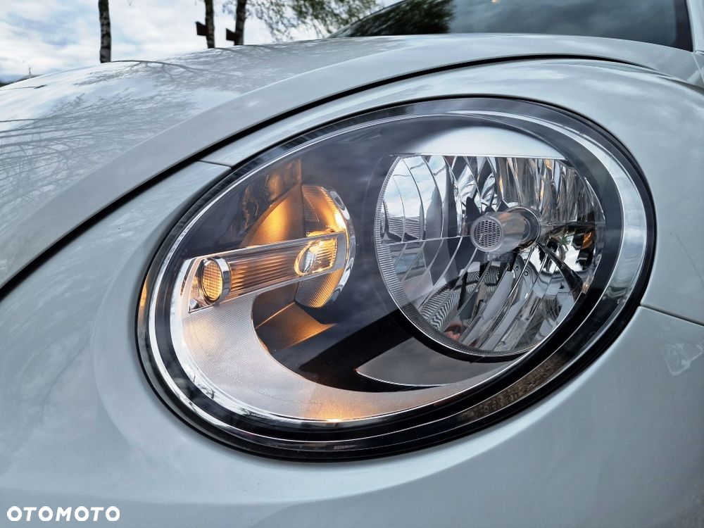 Volkswagen Beetle - 22
