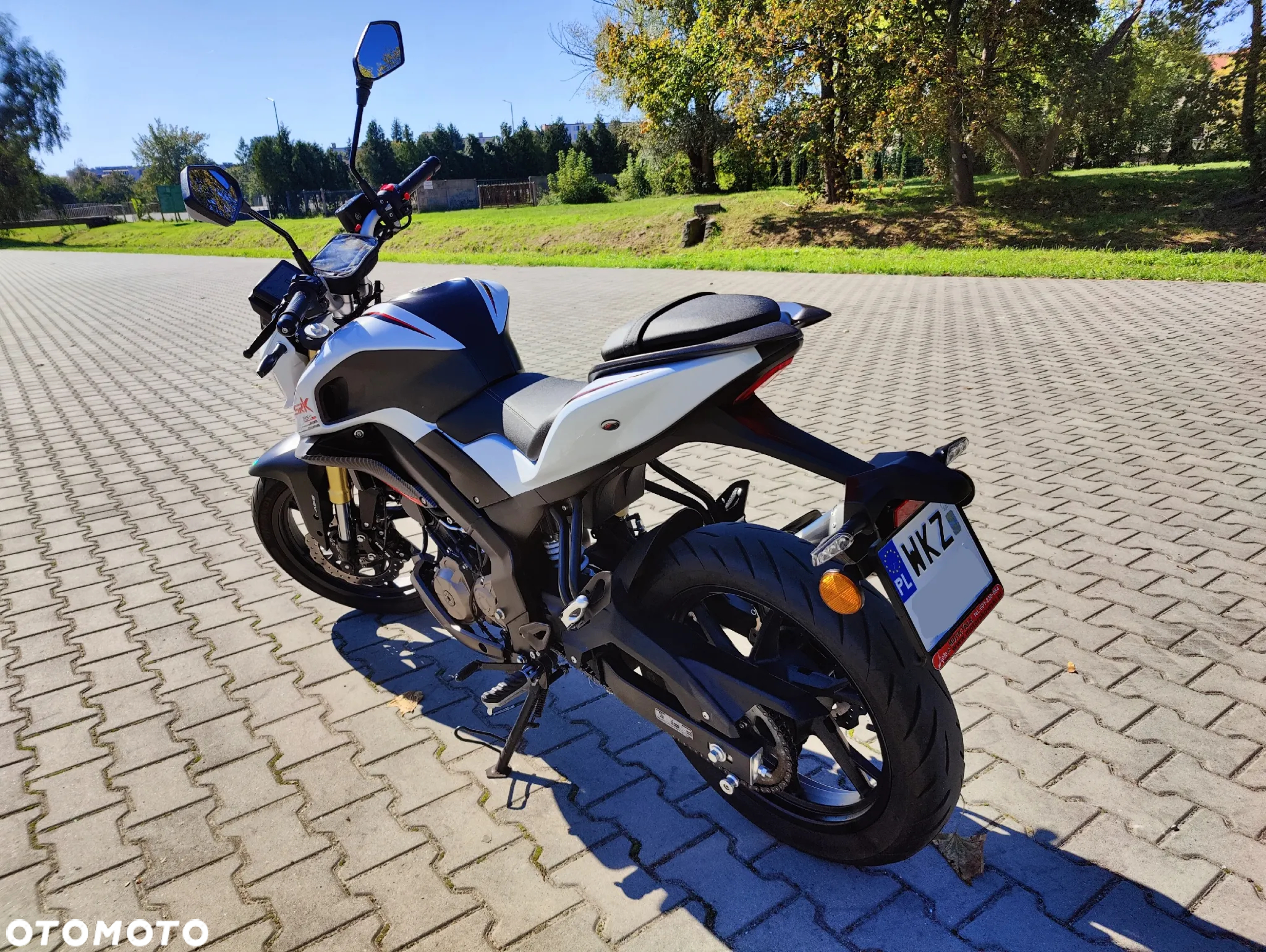 QJMOTOR SRK 125S - 5