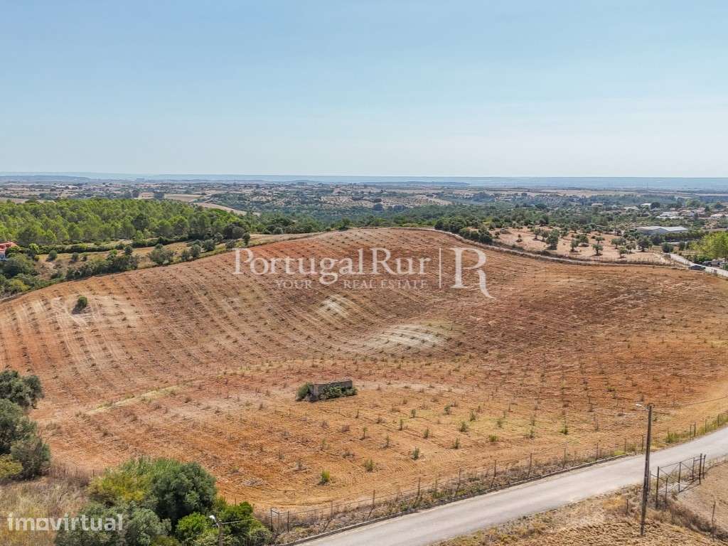 Quinta de 4,6 ha com olival no Ribatejo - Grande imagem: 2/18