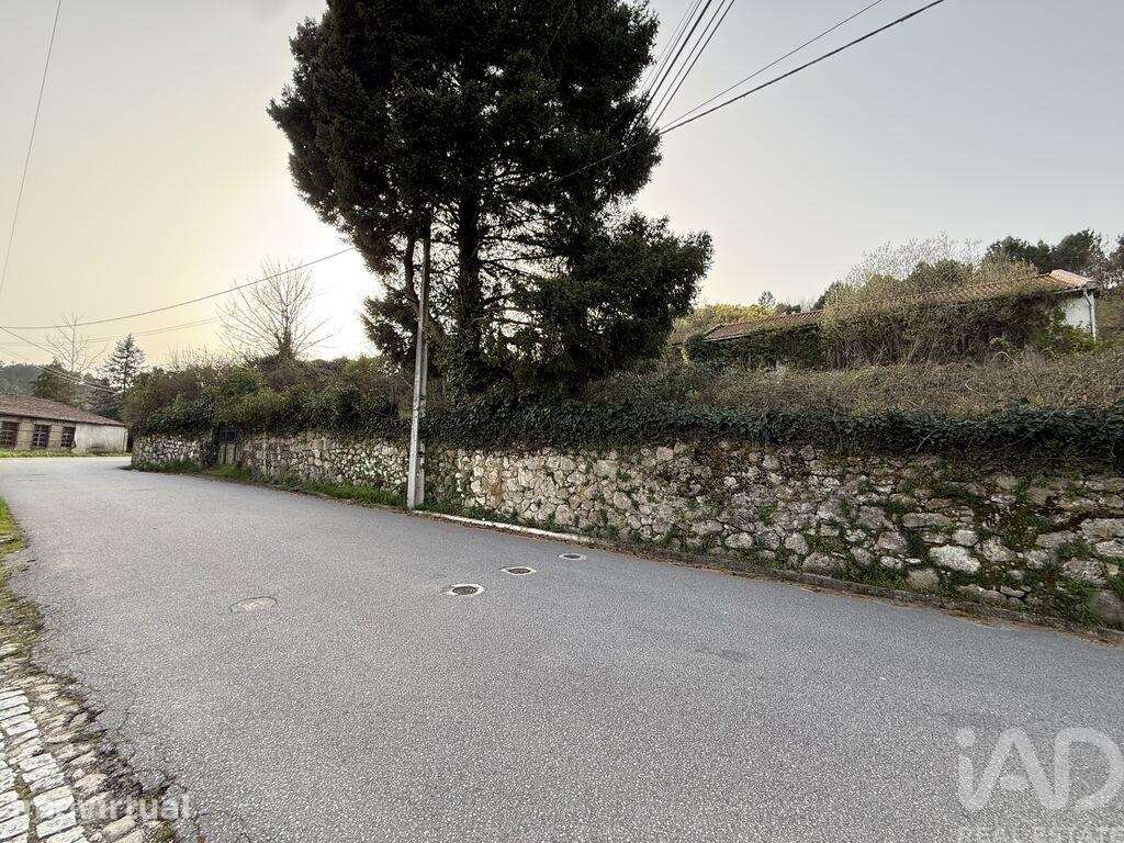 Quinta rural T4 em Parada de Cunhos de 120 m2 - Grande imagem: 4/6