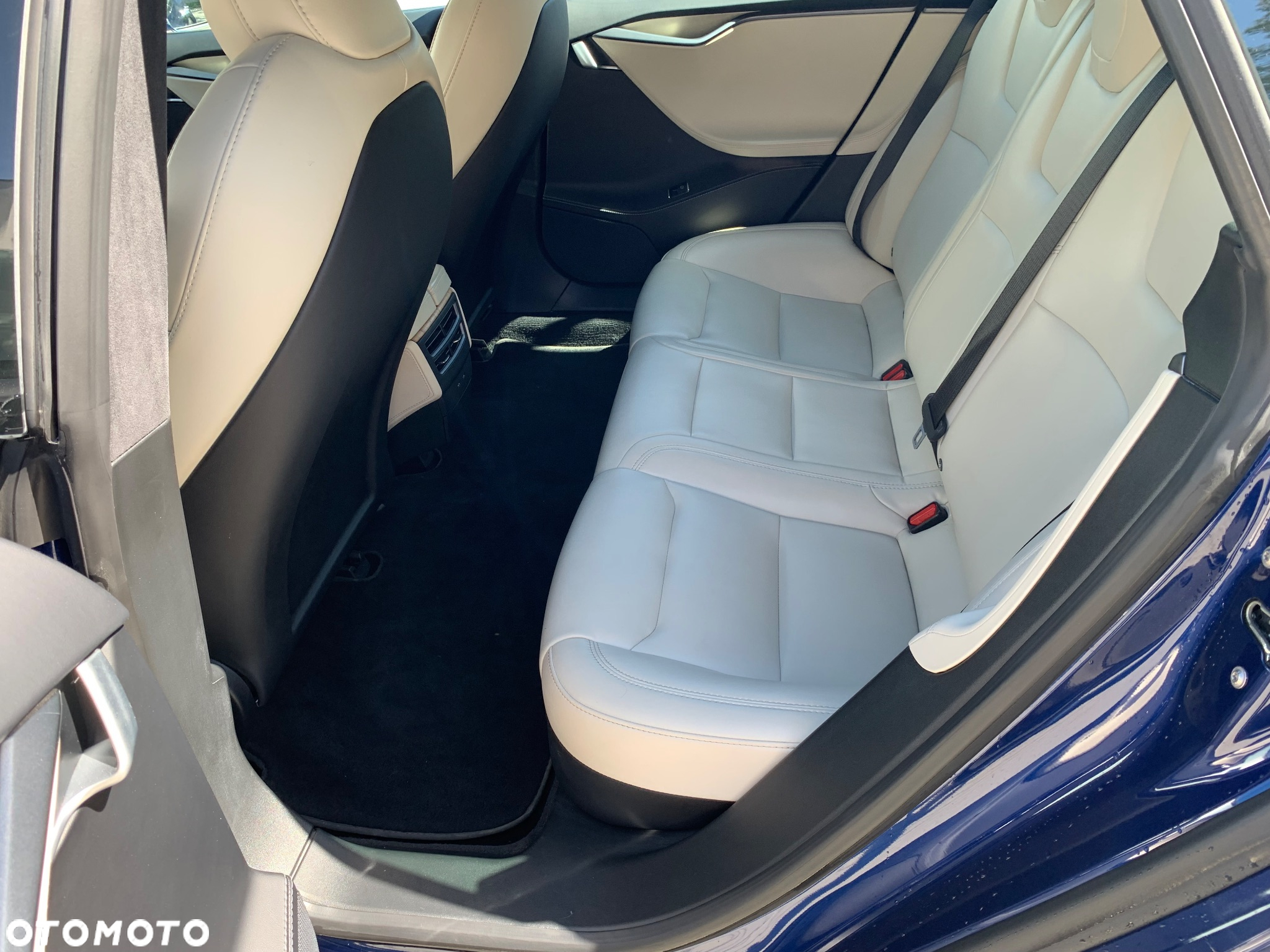 Tesla Model S 100 D Performance - 17