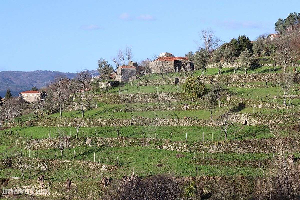 Terreno  para venda - Grande imagem: 2/7