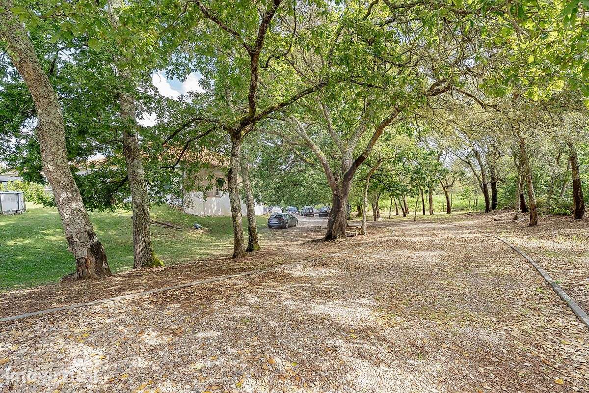 Moradia T3 para venda - Grande imagem: 5/50