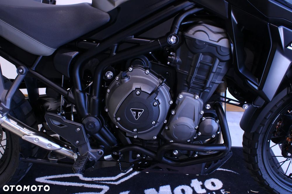 Triumph Tiger - 24