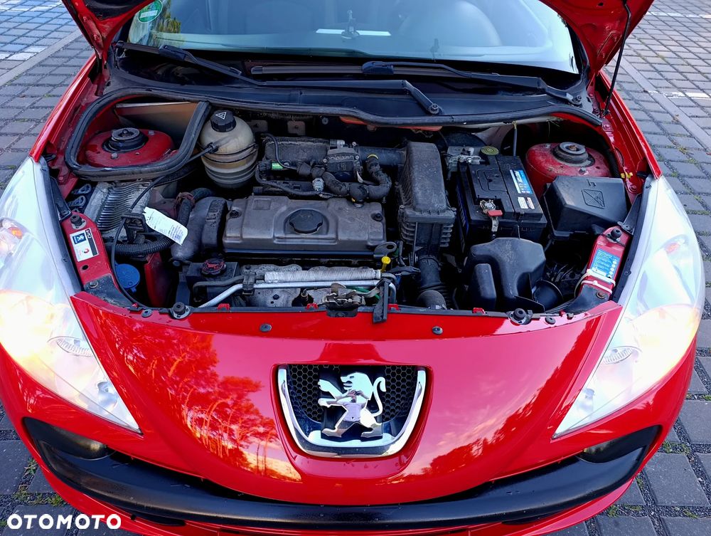 Peugeot 206 plus 75 - 15