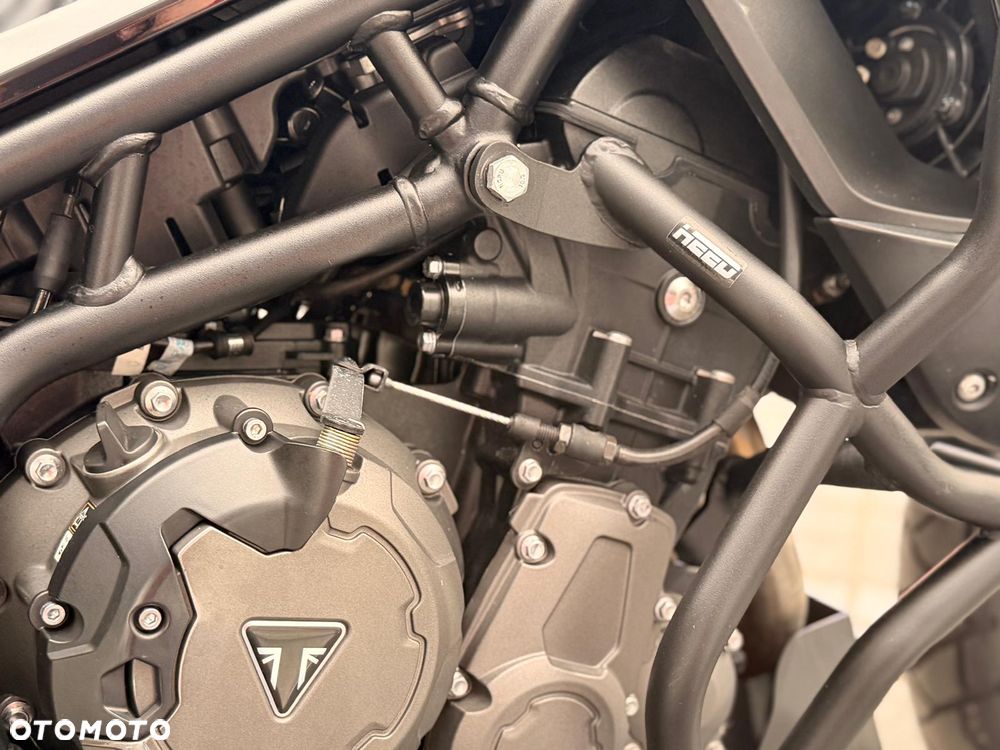 Triumph Tiger - 11