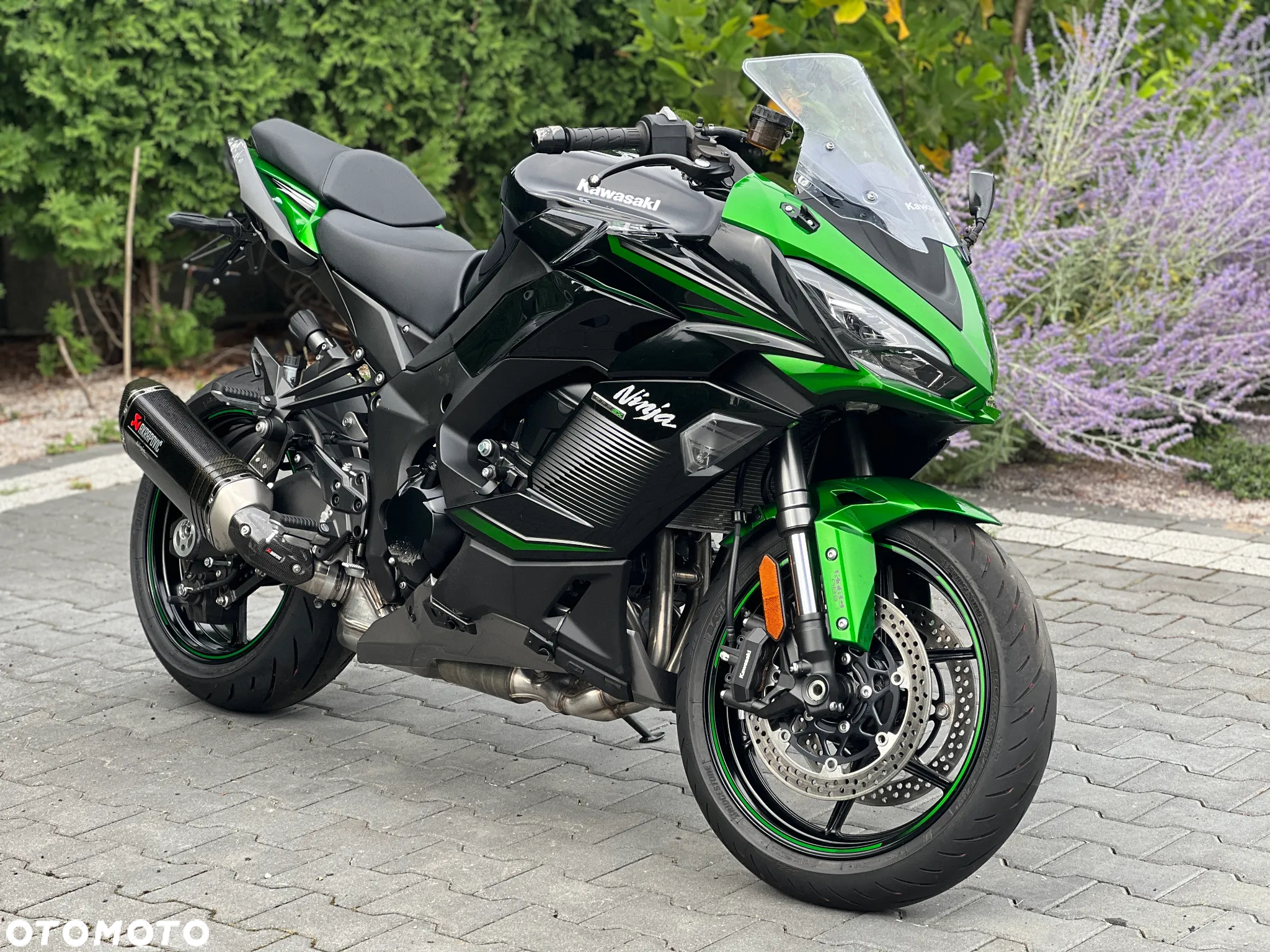 Kawasaki Ninja - 6