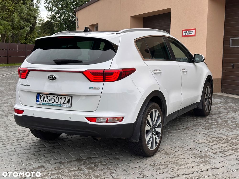 Kia Sportage - 6