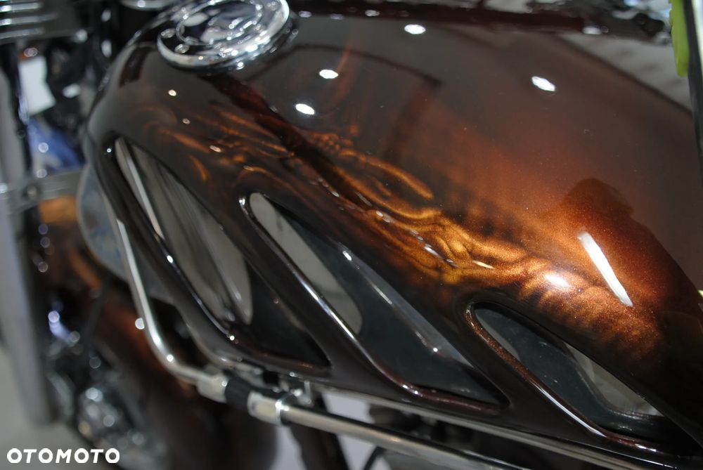 Harley-Davidson Softail - 11