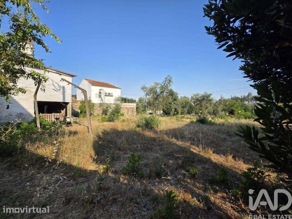 Moradia em Santa Comba Dão e Couto do Mosteiro - Grande imagem: 3/17