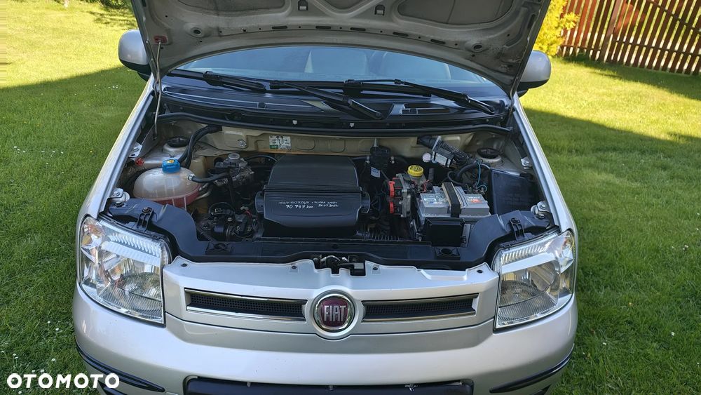 Fiat Panda 1.2 4x4 Climbing - 10