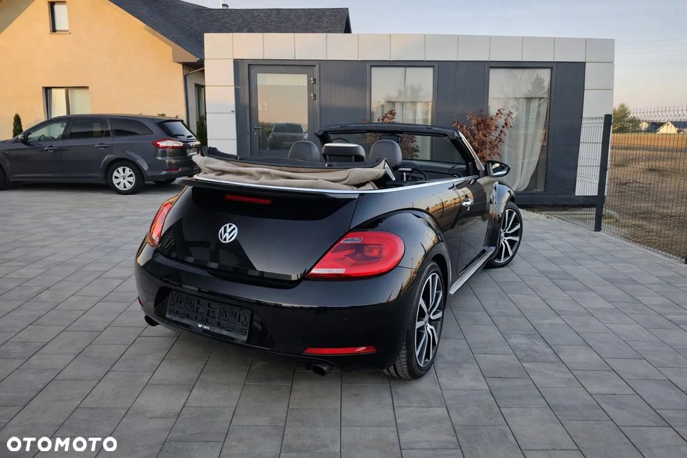 Volkswagen Beetle - 8