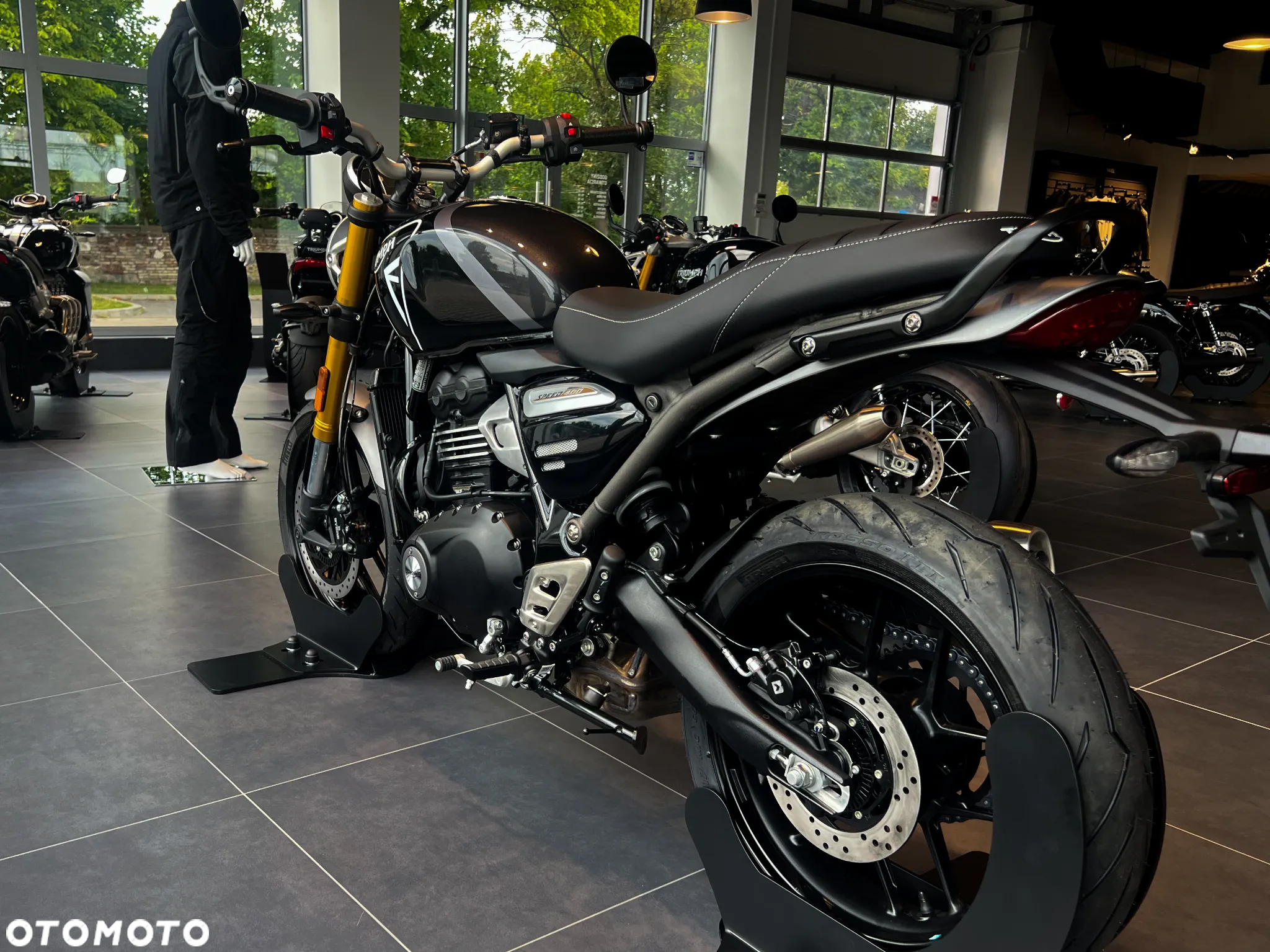 Triumph Inny - 6