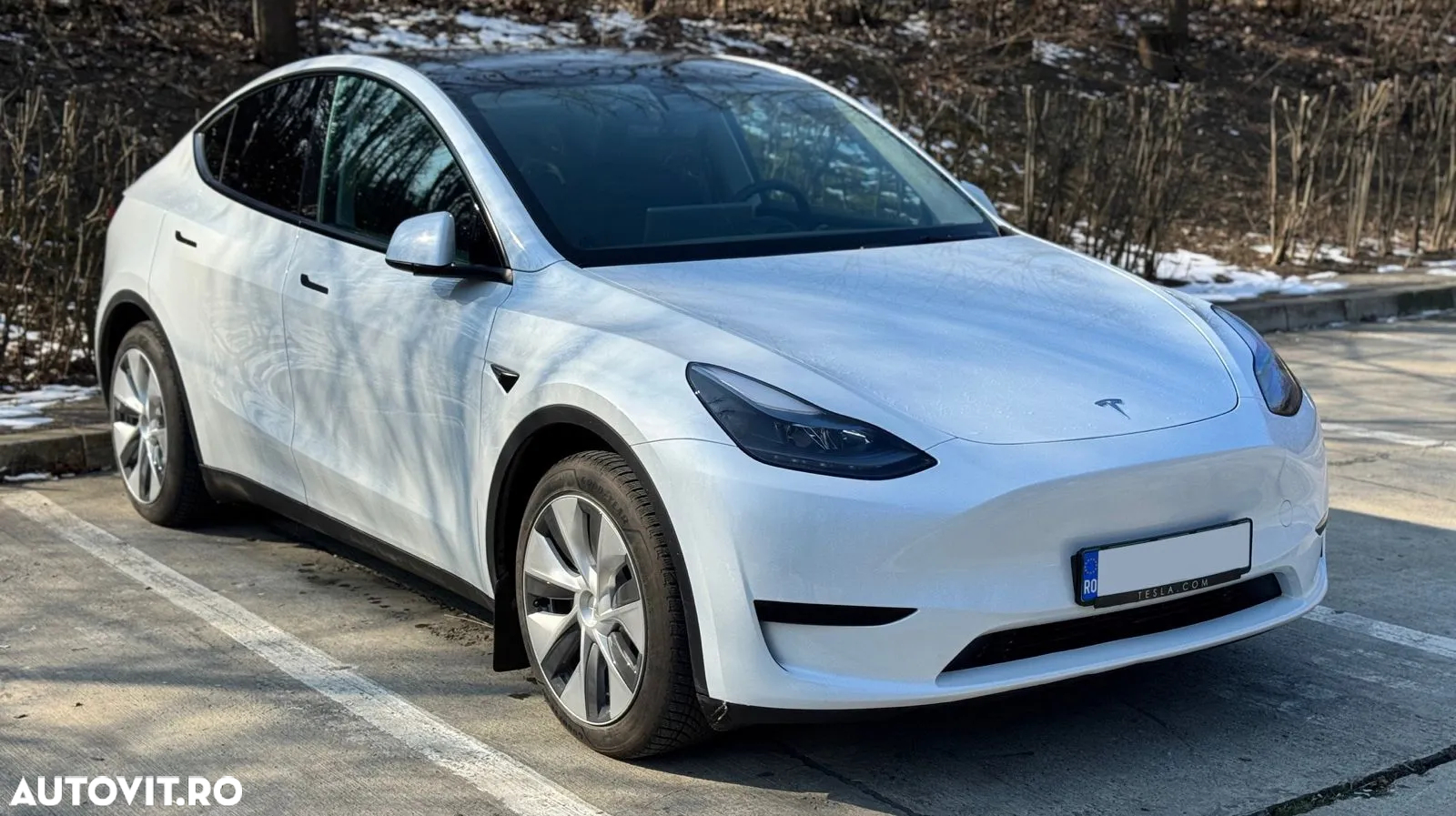 Tesla Model Y - 4