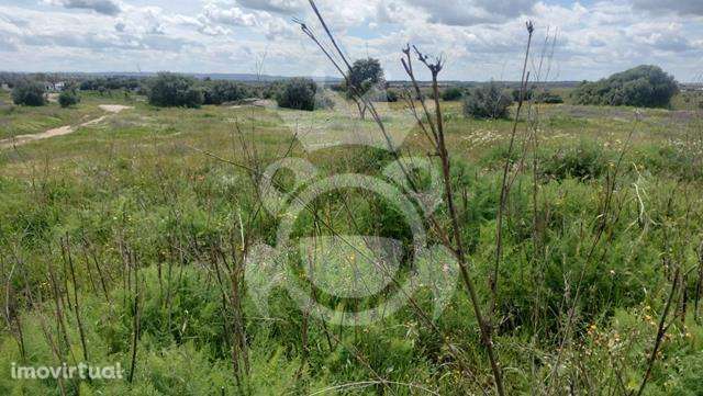 Terreno na zona industrial com 13963m2 - Grande imagem: 3/11