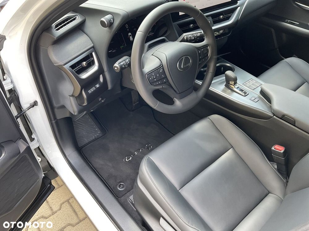 Lexus UX 300h F Sport Design - 19
