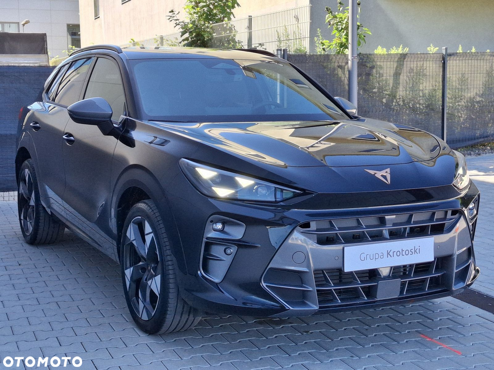 Cupra Terramar - 4