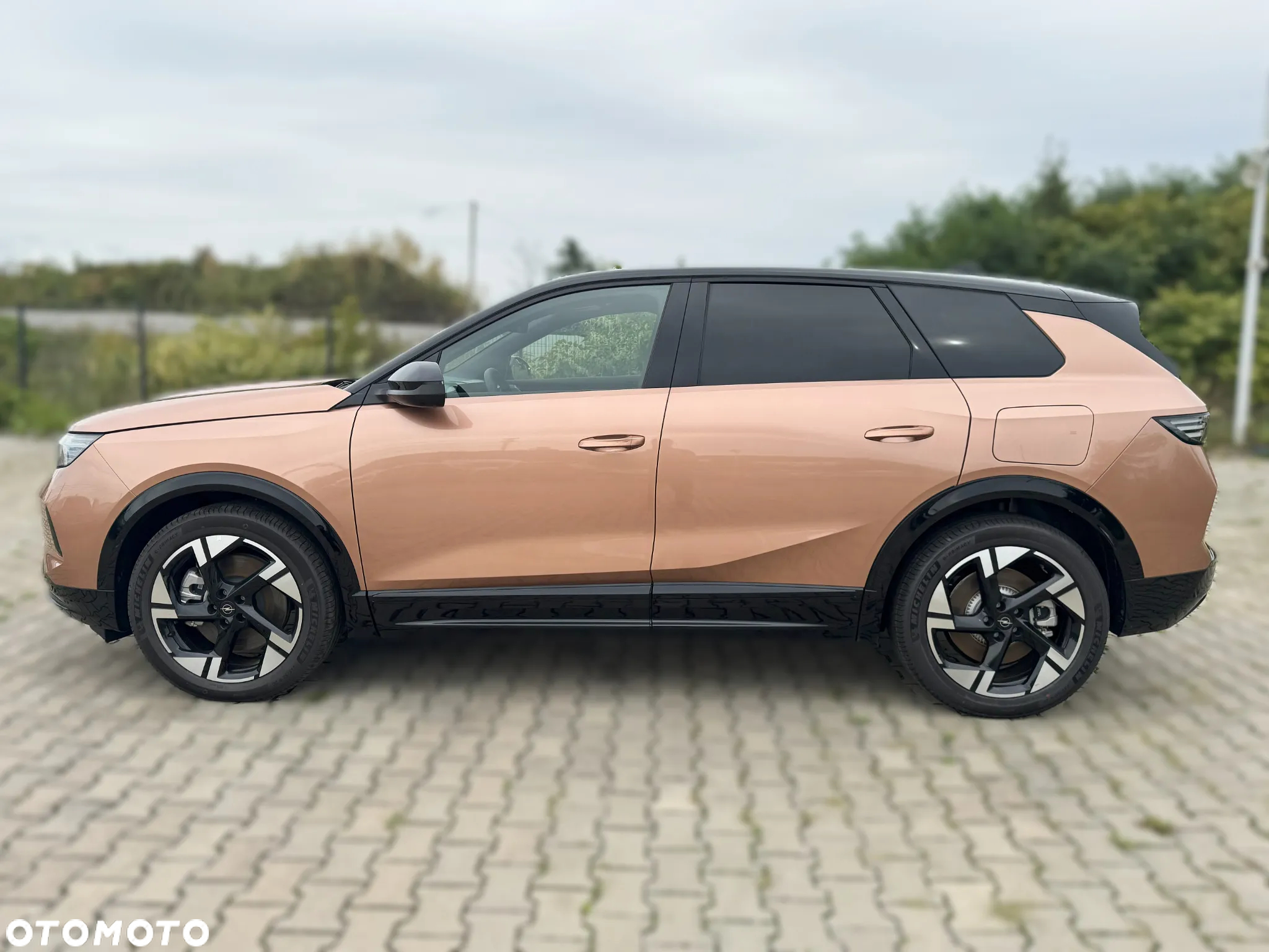 Opel Grandland Electric 73kWh Standard Range GS - 3