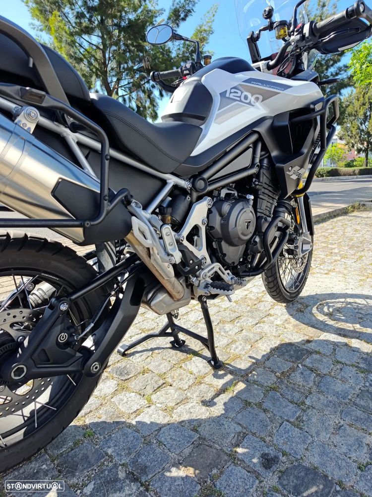 Triumph Tiger Rally Pro - 7