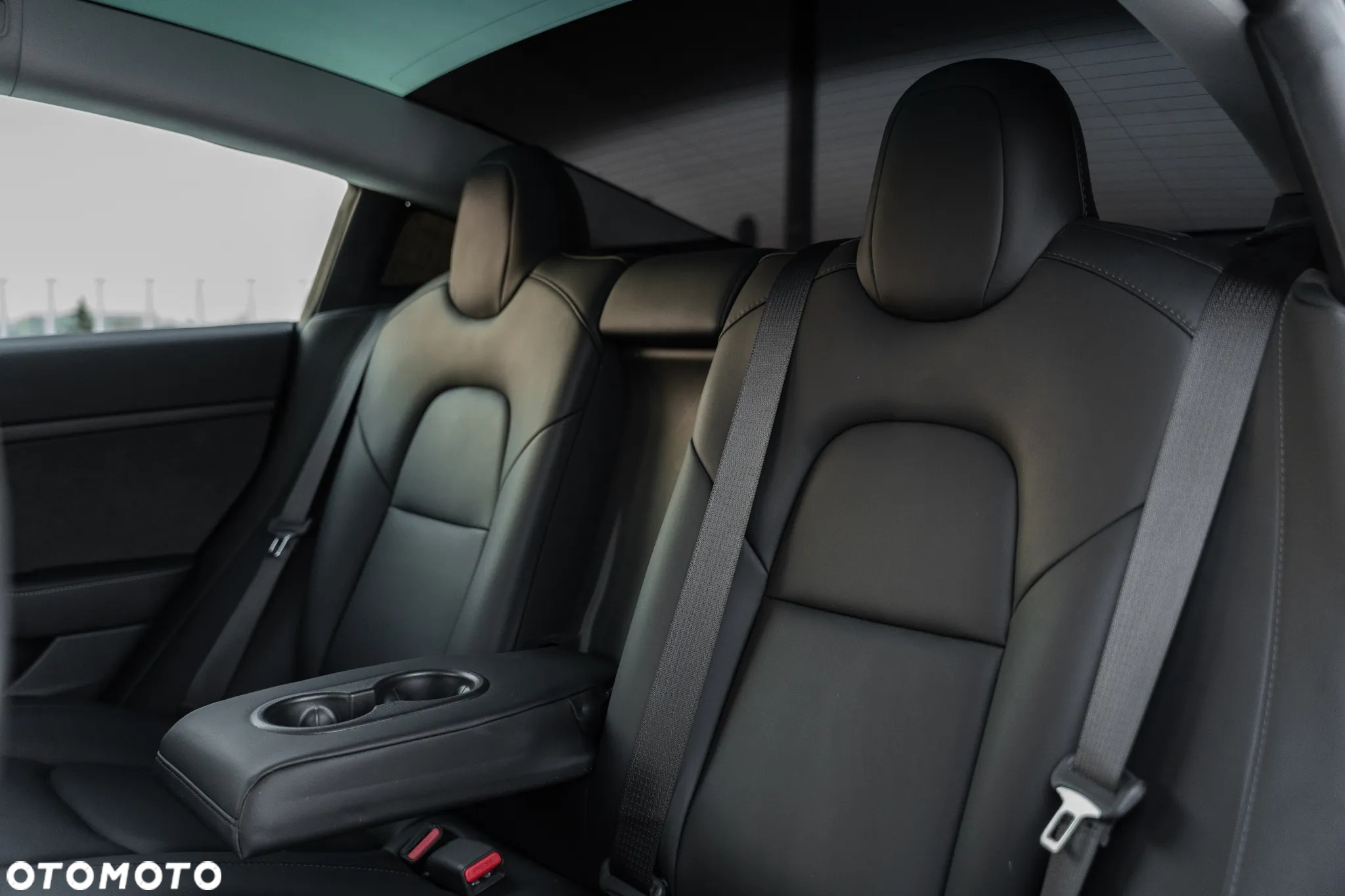 Tesla Model 3 - 25