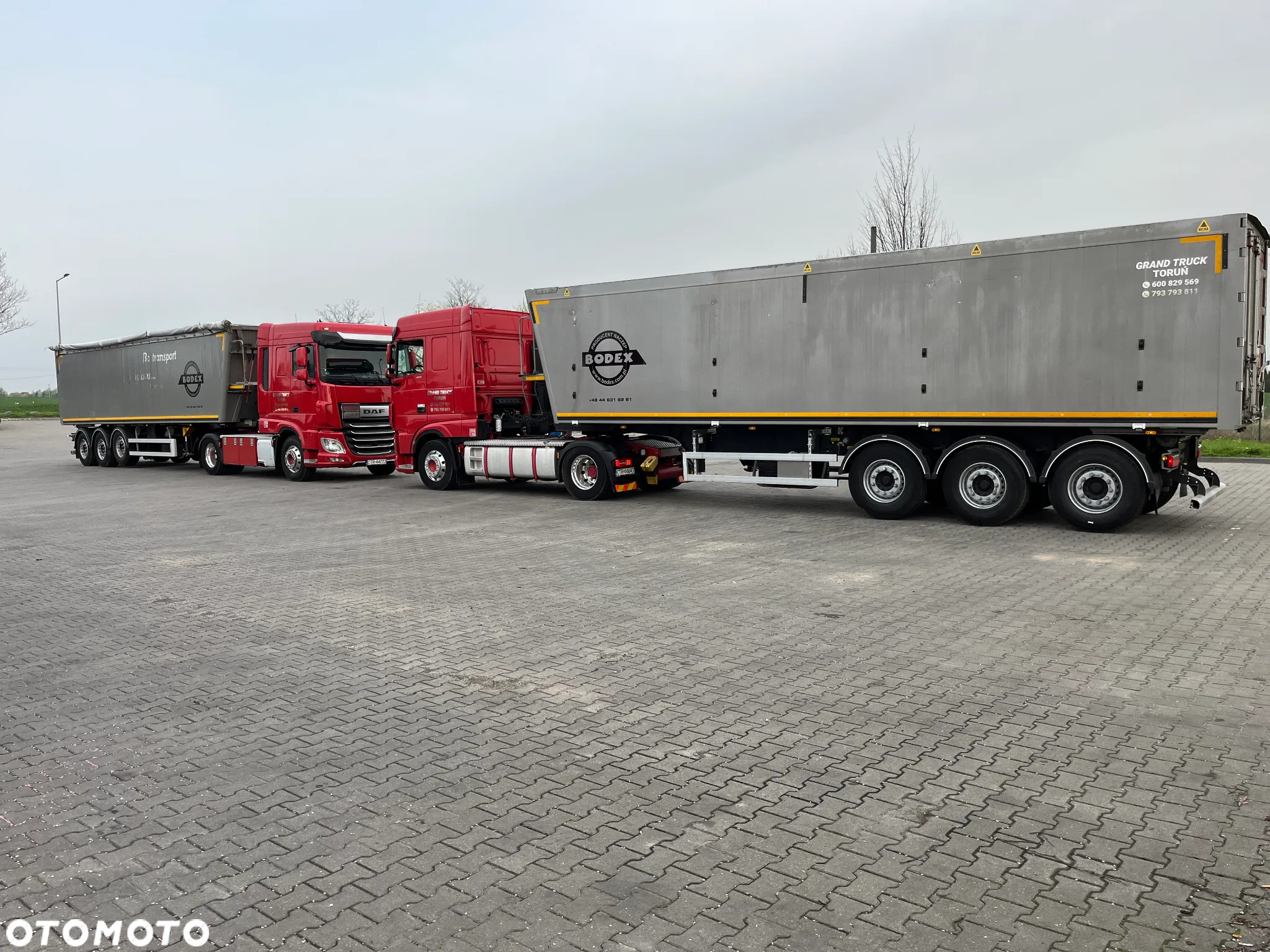 Bodex - 4