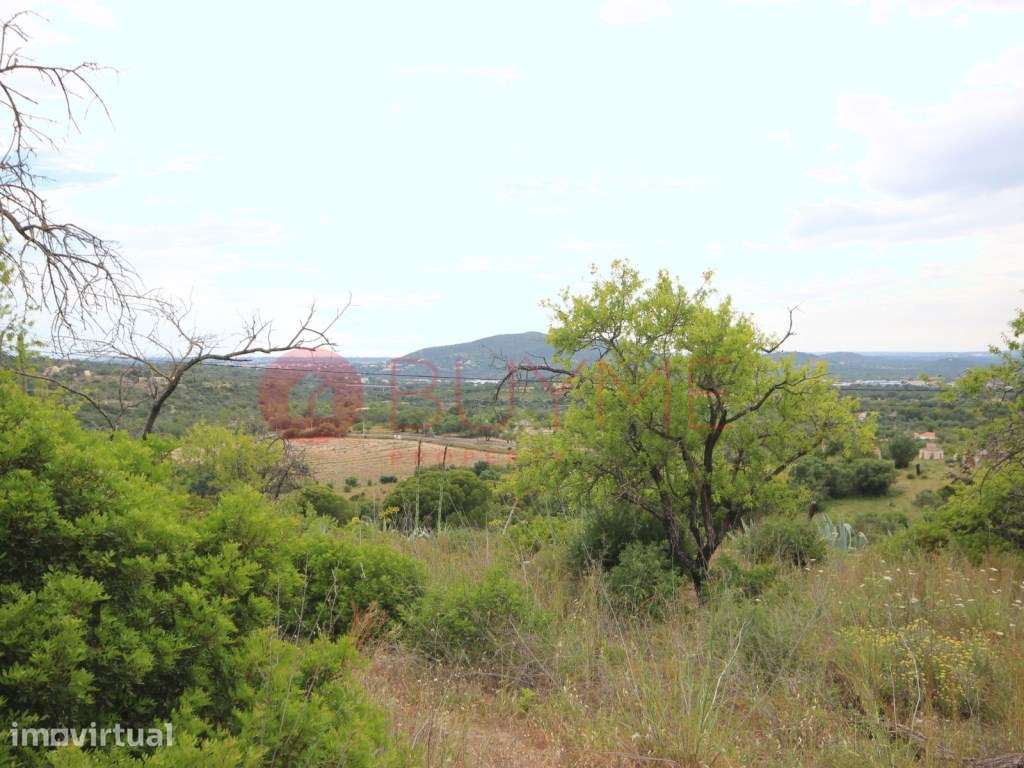 Terreno com ruina para venda em Loulé - Grande imagem: 2/9