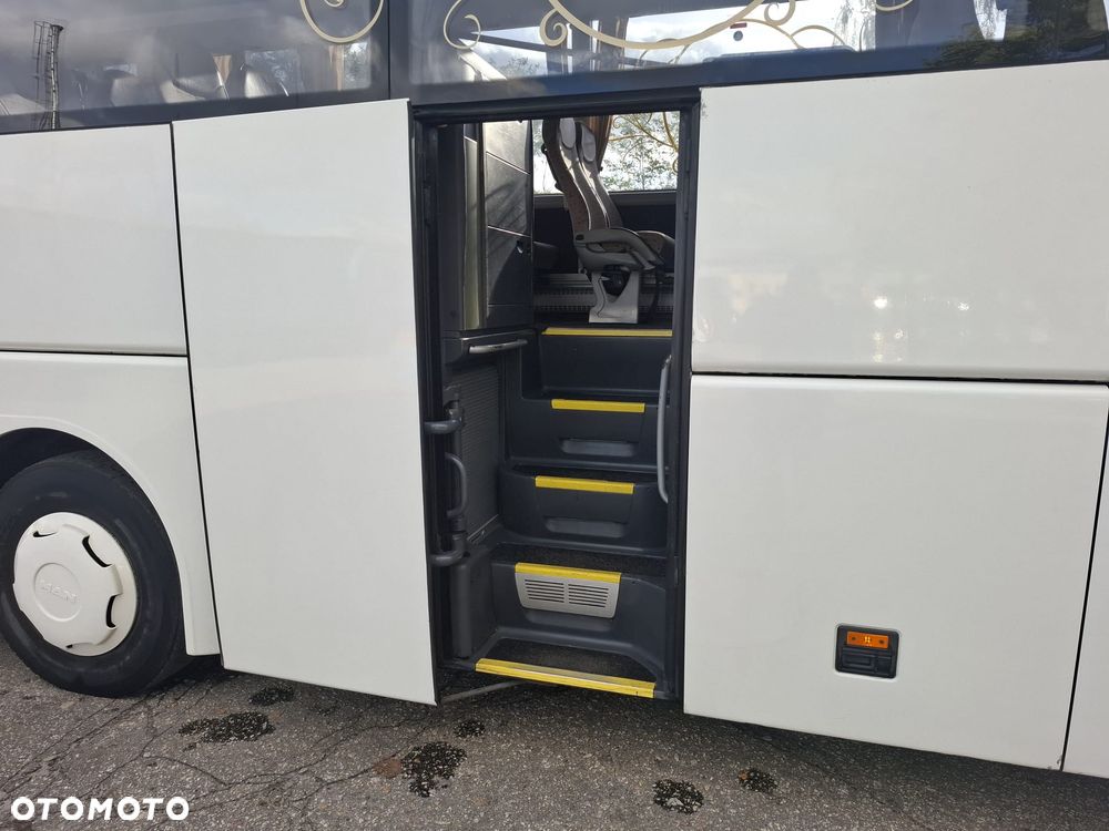 MAN LION'S COACH - 20