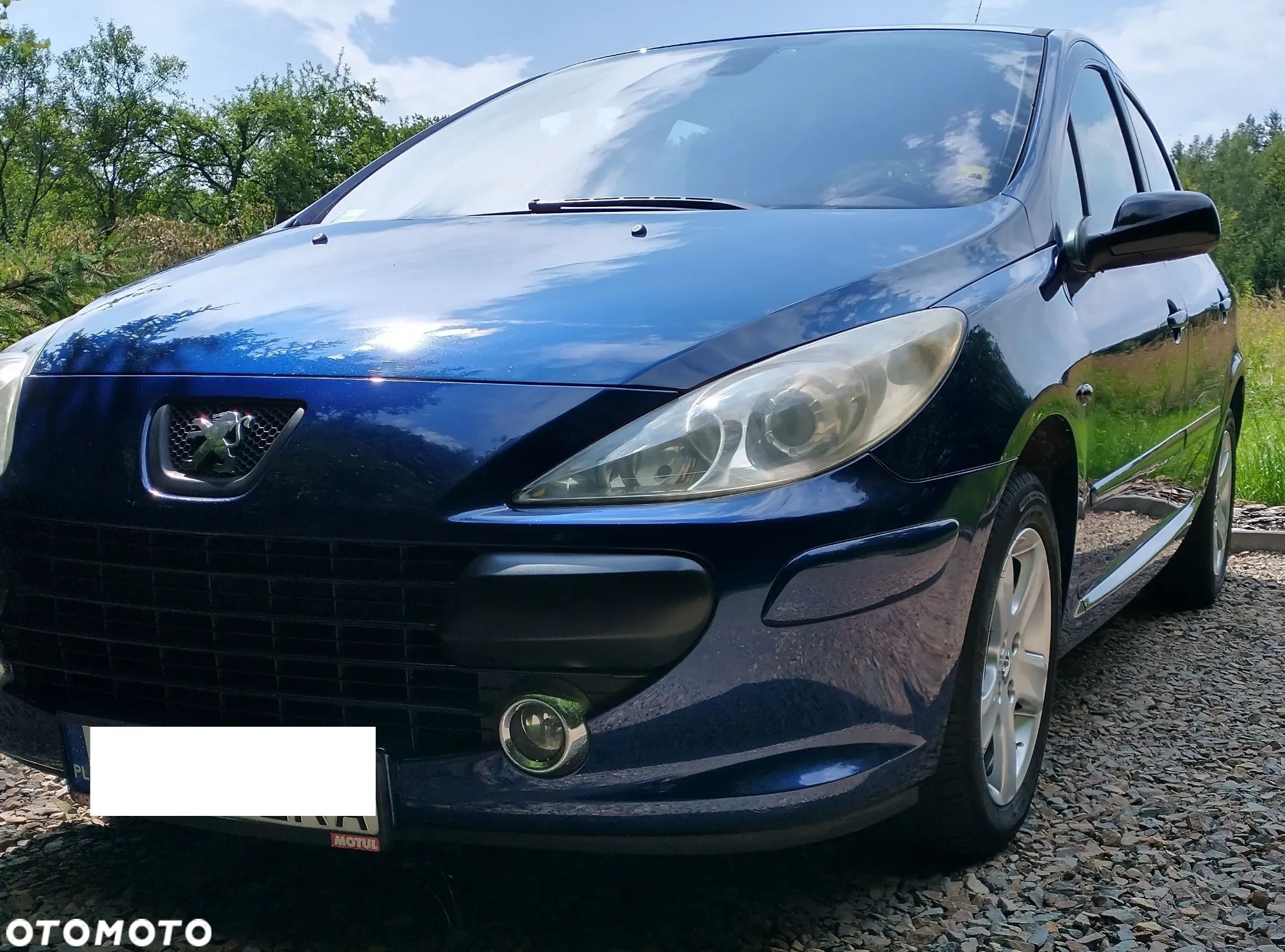 Peugeot 307 1.6 HDI Trendy - 1