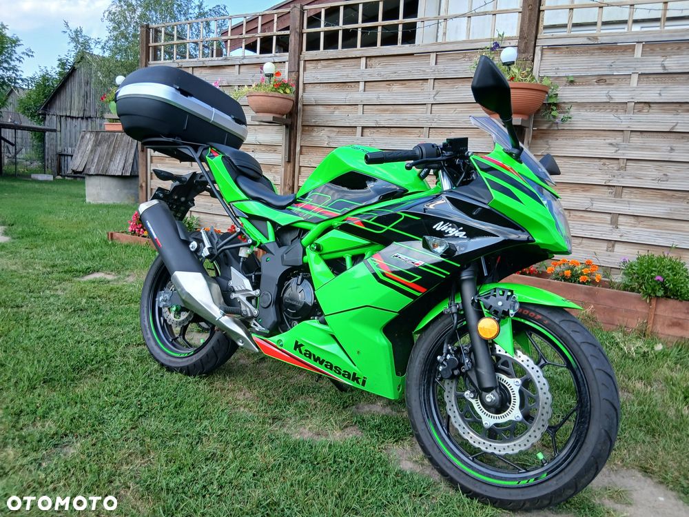 Kawasaki Ninja - 3