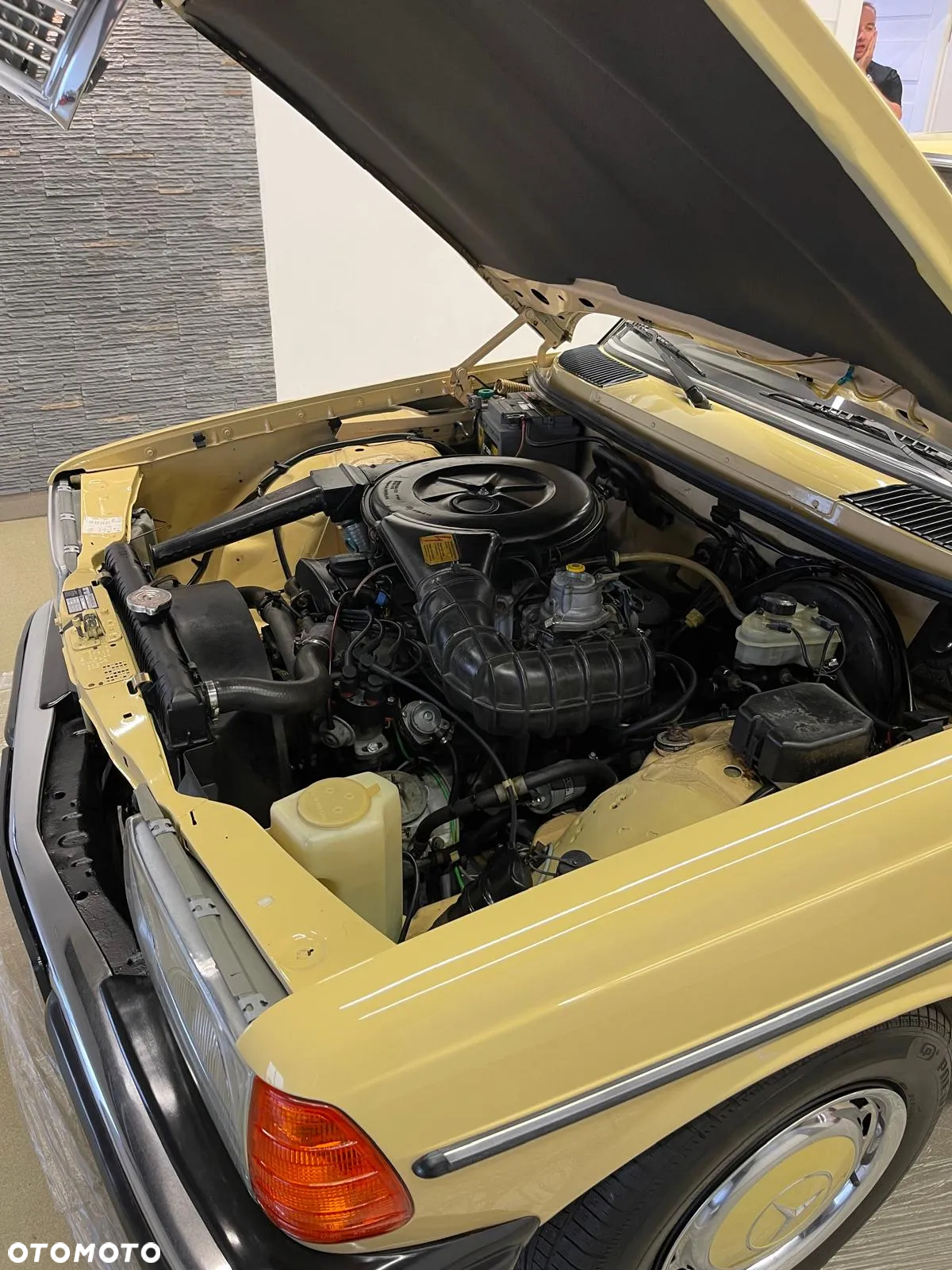 Mercedes-Benz W123 - 7