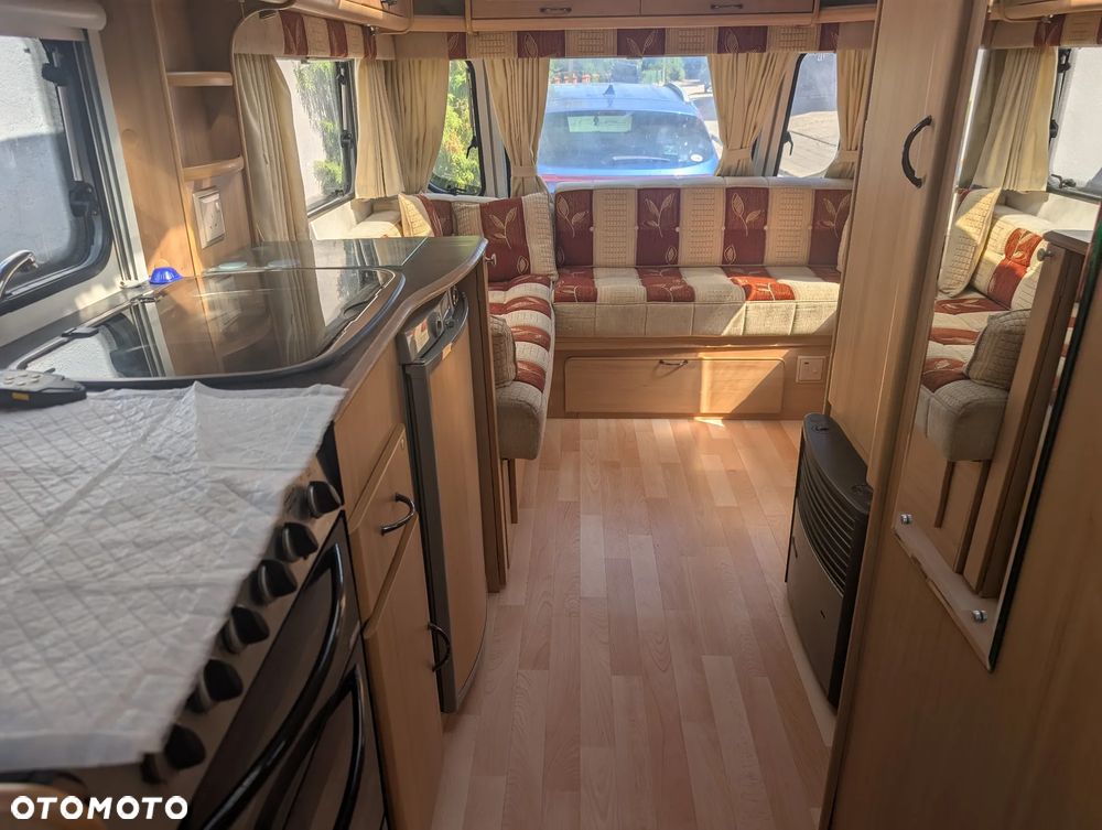 Avondale Argente - 12