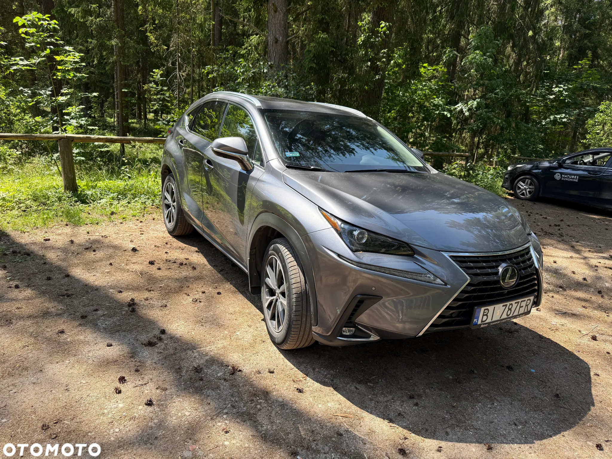 Lexus NX - 2
