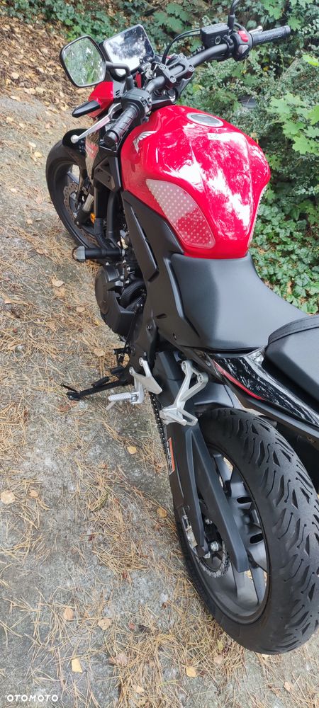 Honda Hornet - 9