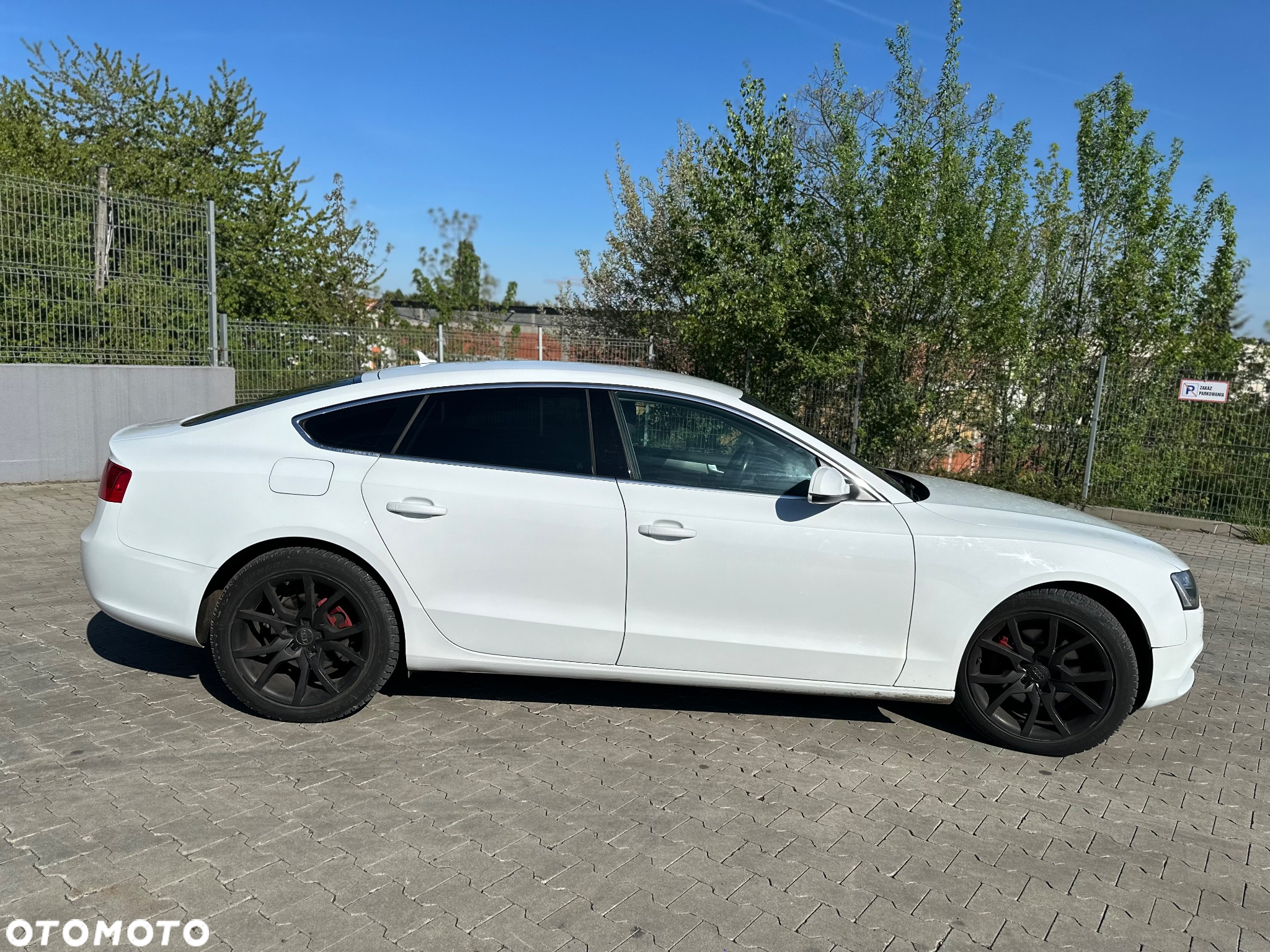 Audi A5 2.0 TDI Sportback quattro DPF S tronic - 2