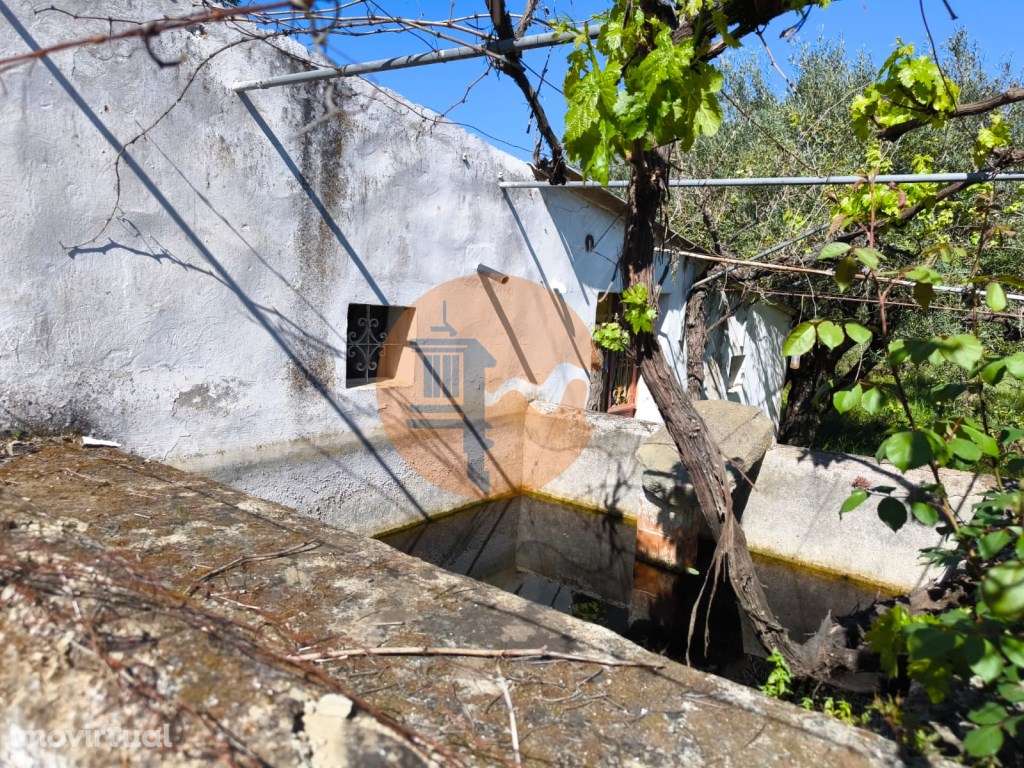 Terreno em Alcoutim, muito perto do Rio Guadiana, com viabilidade d... - Grande imagem: 4/15