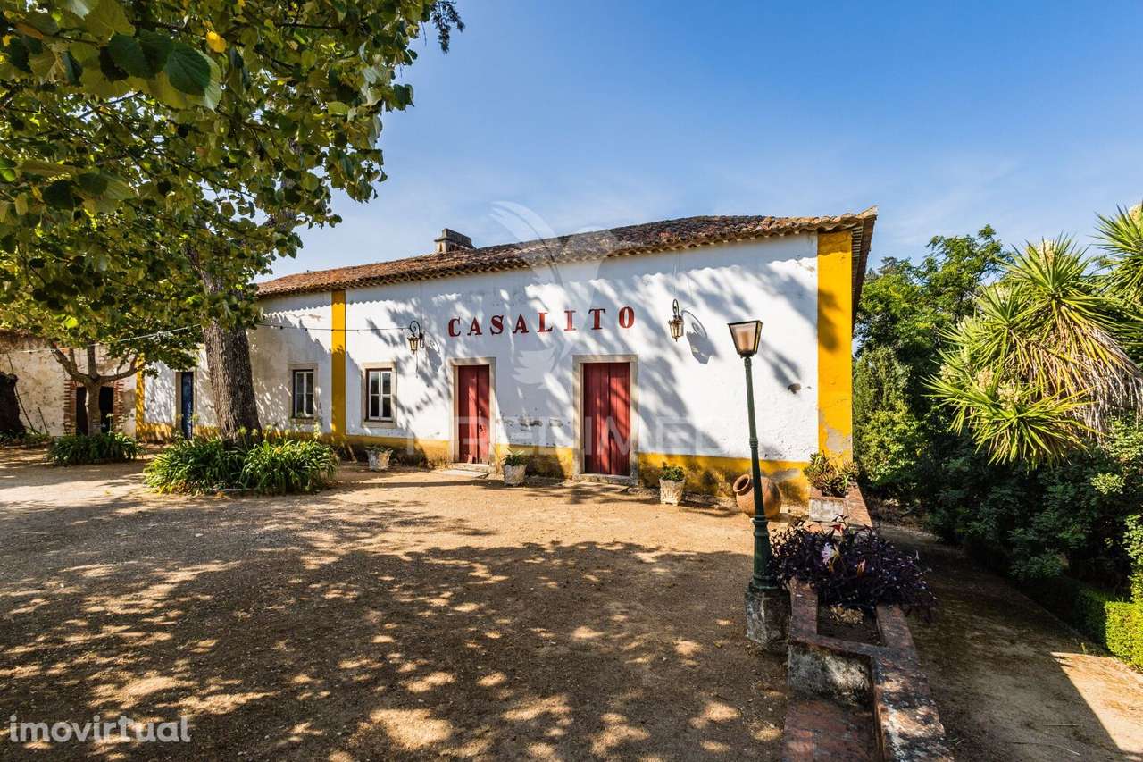 Quinta do Casalito – Comprar Quinta com Elegância, História e Poten... - Grande imagem: 3/36