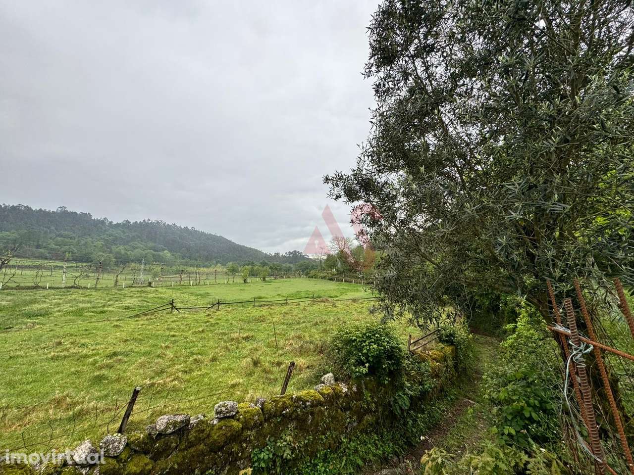 Terreno Rústico em Vieira do Minho – Natureza e Agricultura! - Grande imagem: 2/10