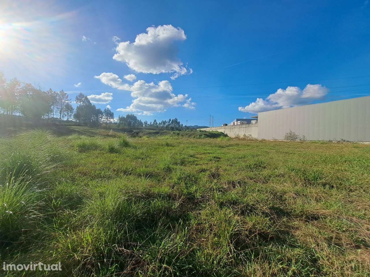 Terreno Industrial 9000m2 - Grande imagem: 2/7